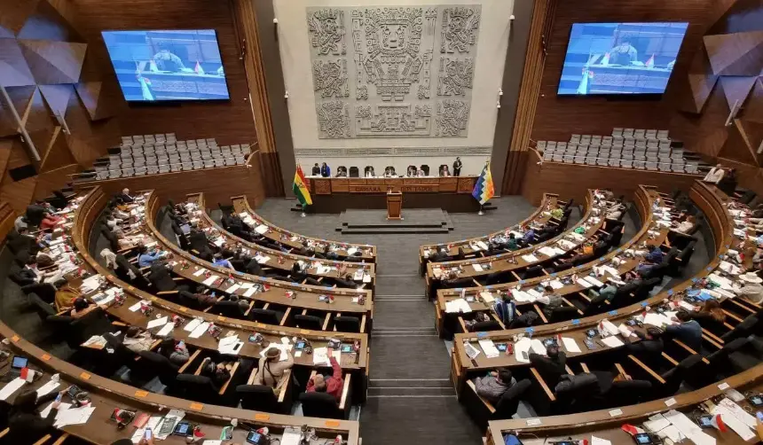 Asambleístas piden al viceministro Maldonado pruebas sobre supuesta estructura vinculada a Mariaca