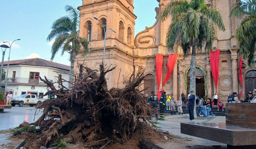 Árboles caídos y un tendido eléctrico afectado; los fuertes vientos causan estragos en Santa Cruz