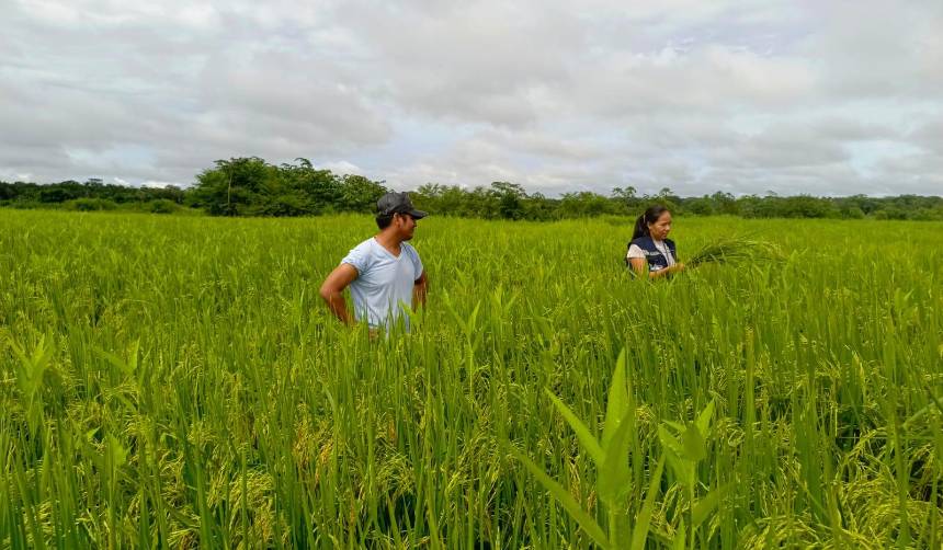 Arroceros se declaran en emergencia y anuncian bloqueo en el puente de la Amistad contra el contrabando