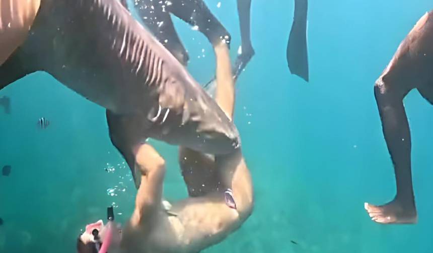 Imágenes fuertes: Tiburón muerde a una mujer cuando practicaba snorkel