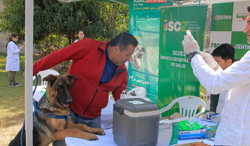 Campaña antirrábica en Santa Cruz: En qué municipios será y dónde estarán las brigadas