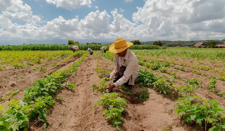 Confeagro pide a Rodrigo Paz promulgar la ley que permite convertir pequeña propiedad en mediana