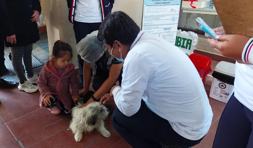 Cochabamba se prepara para la vacunación antirrábica masiva este 22 y 23 de noviembre