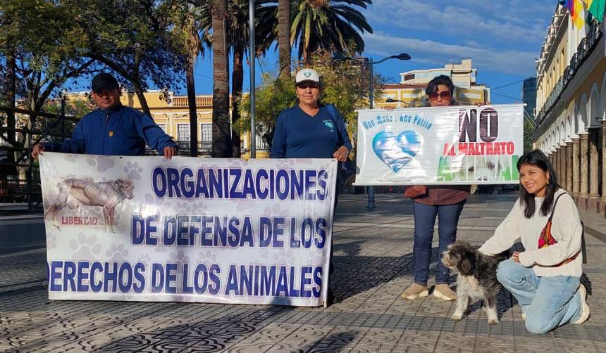Organizaciones e instituciones en defensa de los animales anuncian marcha contra el maltrato y venta ilegal de mascotas