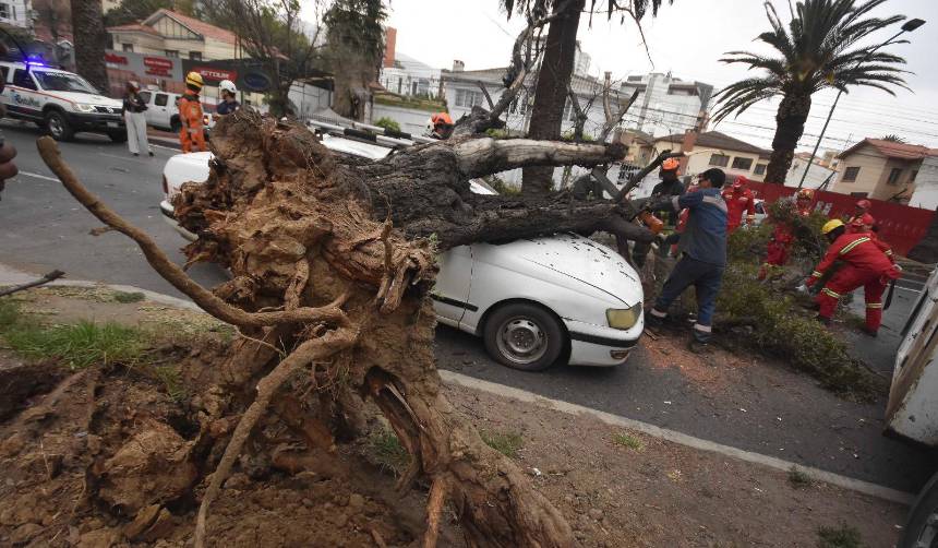 Fuertes ráfagas en Cochabamba tumban árboles, dañan viviendas y dejan al menos un herido