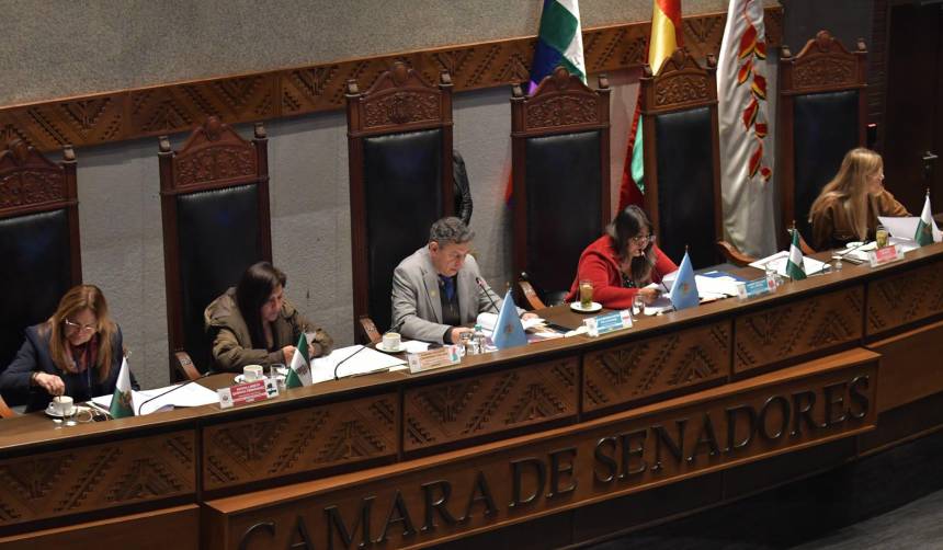 Senado alista tratamiento de crédito de $us 500 millones del BID destinado a la “protección social”