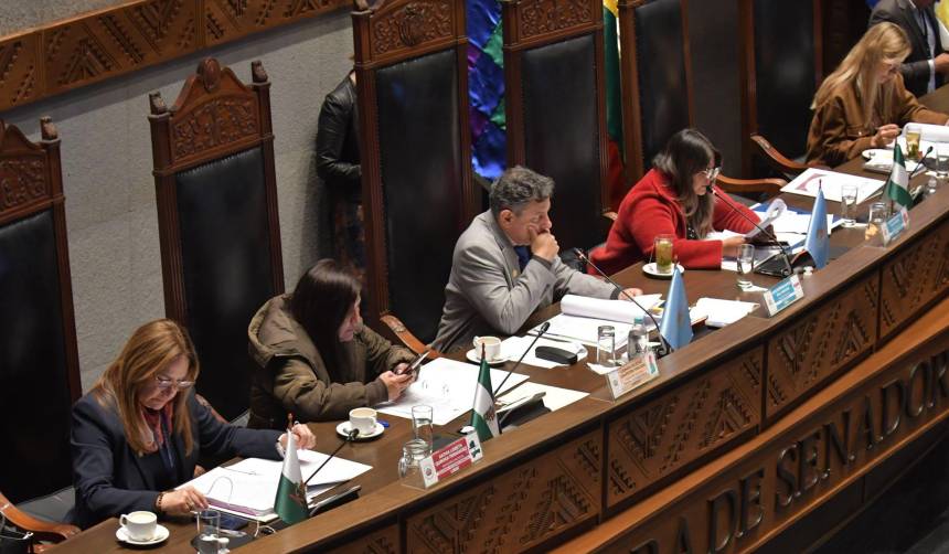 Senado sanciona préstamo de $us 40 millones del BID para saneamiento de tierras