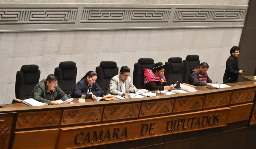 Diputados frena el tratamiento de la Ley de debate obligatorio por observaciones a sanciones