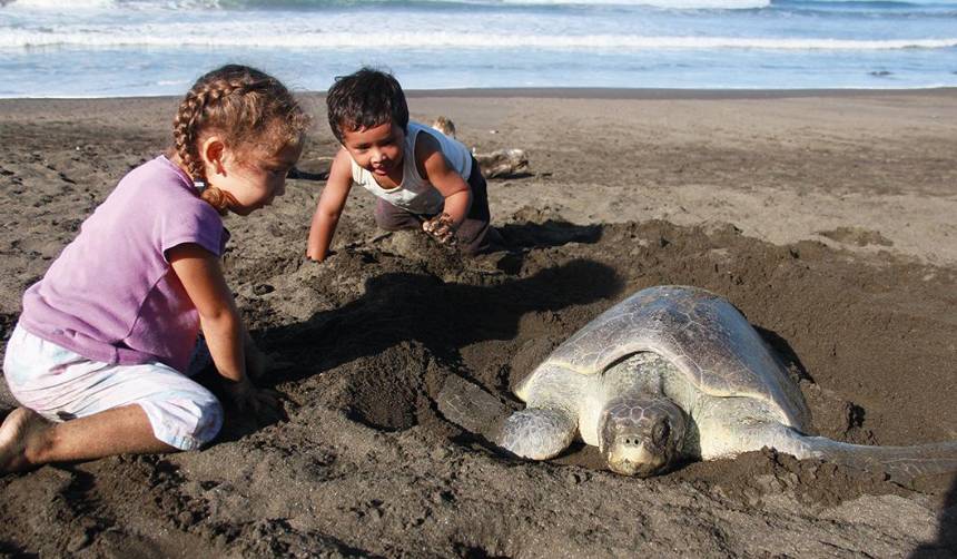 Mujer sube a su hija sobre una tortuga y el hecho ha generado duras críticas 