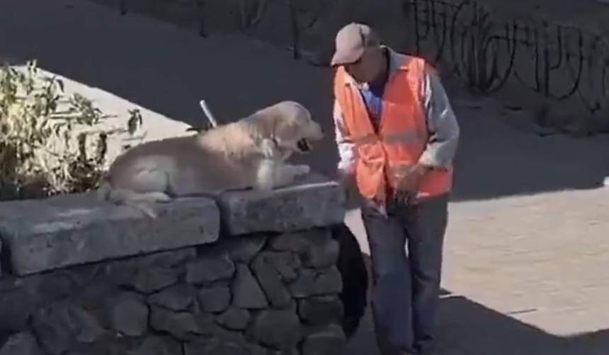 Un hombre que limpia las calles conmueve al alimentar y abrigar a un perro callejero 
