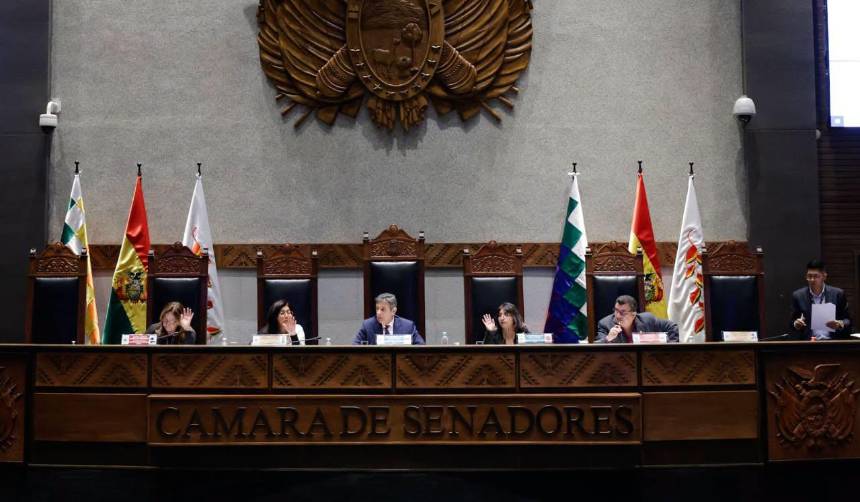 Al menos cuatro senadores del PDC buscan la presidencia del Senado, dice la senadora Crispín