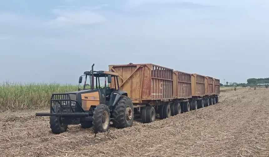 “Es una de las peores zafras de los últimos años”, afirman cañeros ante la falta de combustible