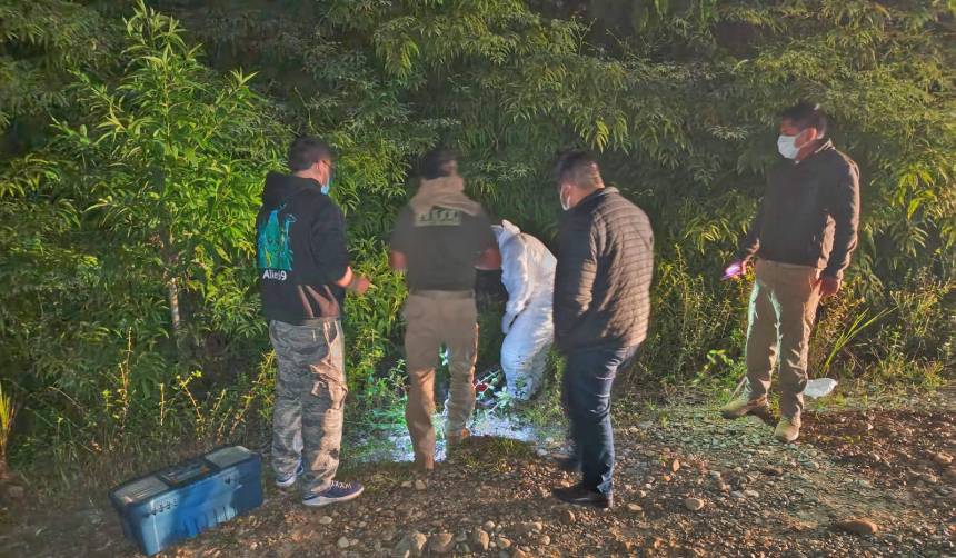 Hallan tirada en una zanja en el trópico a una mujer sin vida y con cápsulas en el estómago