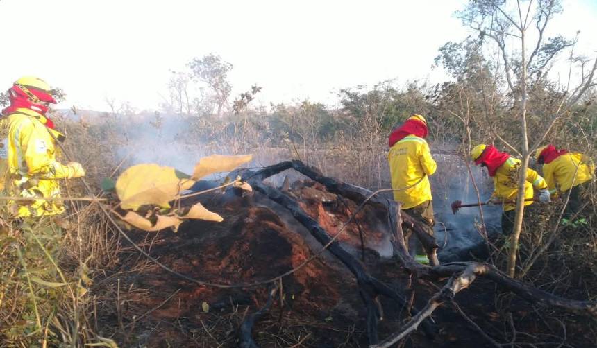 Alerta: Santa Cruz cierra agosto con 10 incendios forestales activos que se distribuyen en seis municipios