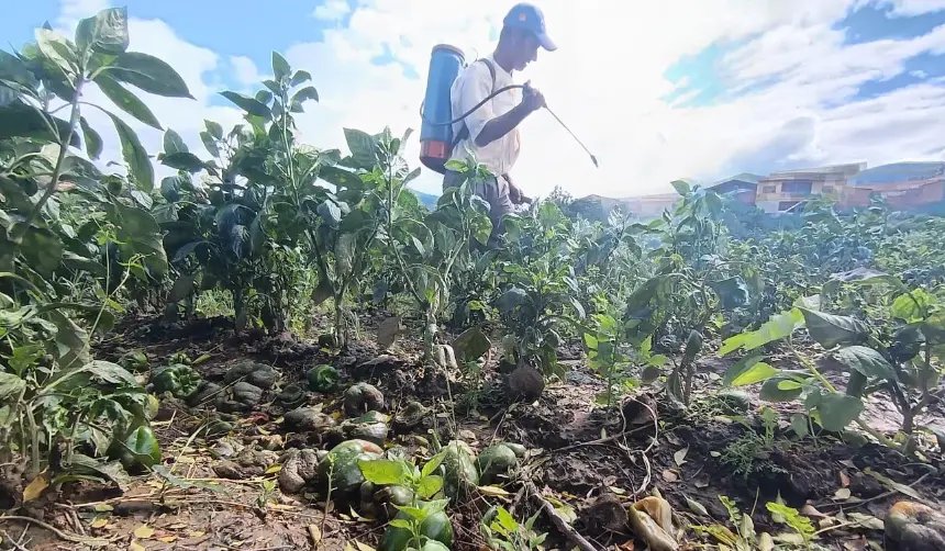 Ministro minimiza la emergencia en los Valles cruceños y dice que no hay reporte sobre pérdidas