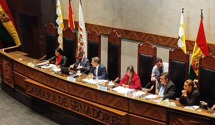 Ministro de Hidrocarburos se presenta ante el Senado para responder por el combustible 