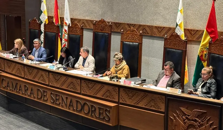 Crédito de $us 100 millones del Japón fue sancionado por el Senado y remitido al Ejecutivo