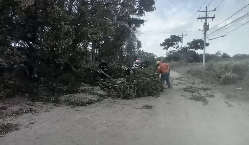 Vientos fuertes afectarán a Santa Cruz: tome en cuenta estas recomendaciones