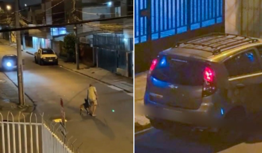 Atropelló a un adulto mayor y su mascota y luego fugó, pero las cámaras de seguridad lo delataron