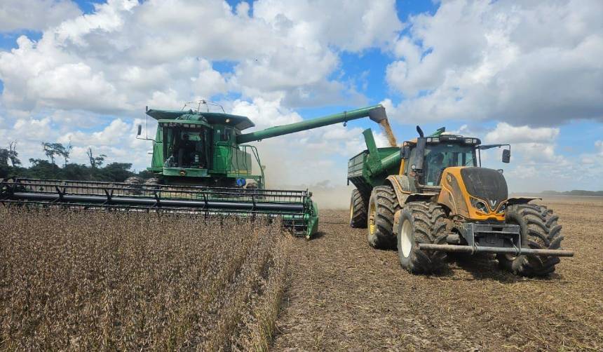 Productores de oleaginosas señalan que el 40% de sus unidades de transporte está afectado por falta de diésel