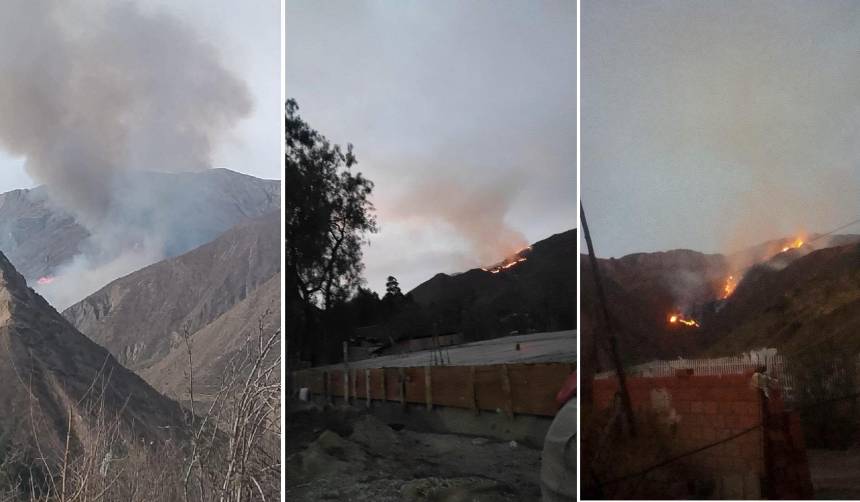 La Paz: Reportan incendio forestal en Sapahaqui y vecinos piden apoyo para frenar su avance