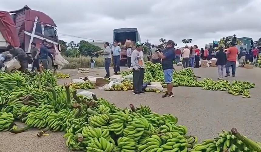 “Ya no damos confianza”: Argentina sustituye banana boliviana por fruta de Ecuador y Paraguay, lamenta productor