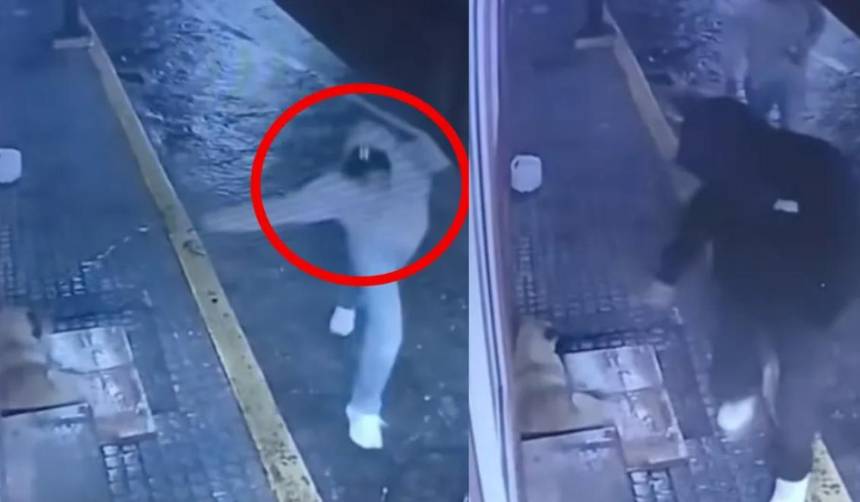 Imágenes sensibles: Un hombre lanza una botella de vidrio contra un perro en la calle 