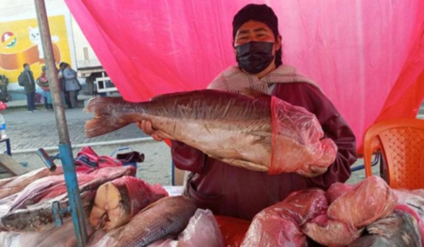 Venta de pescado y mariscos se activa por Semana Santa en La Paz 