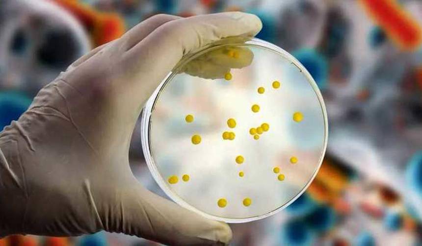 Sedes aclara que no se han reportado más casos de la bacteria Streptococcus y pide a la población no alarmarse