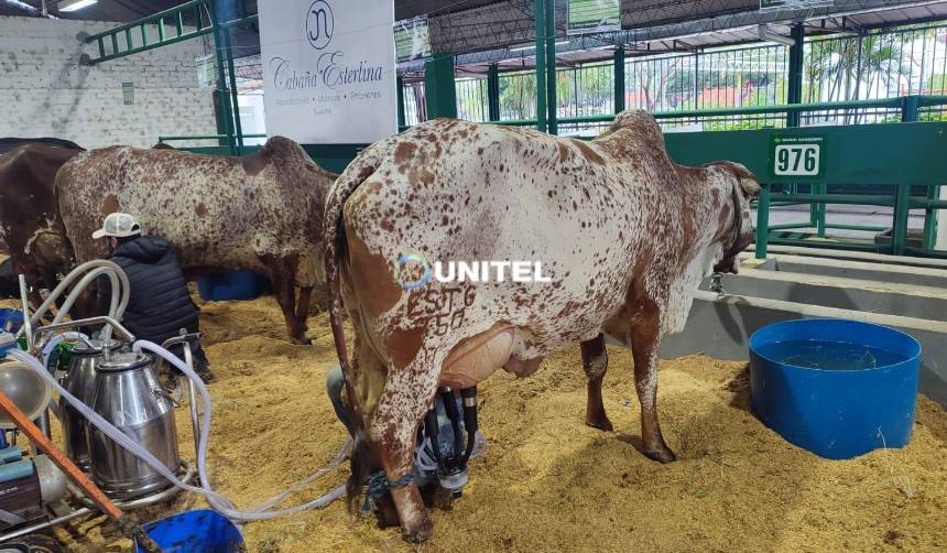 Arranca el concurso lechero con miras a la Expocruz 2026