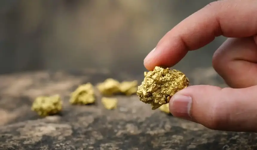 ¿Sabías que estas botando oro al deshacerte de algunos electrodomésticos?