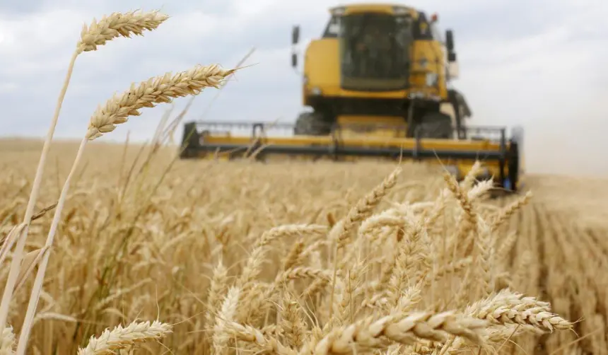 Agro proyecta cosecha de 100.000 toneladas de trigo y pide condiciones para apuntalar la producción