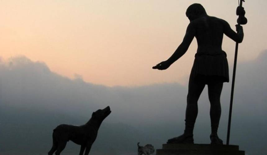 San Roque: el día en que se celebra a los fieles compañeros de cuatro patas