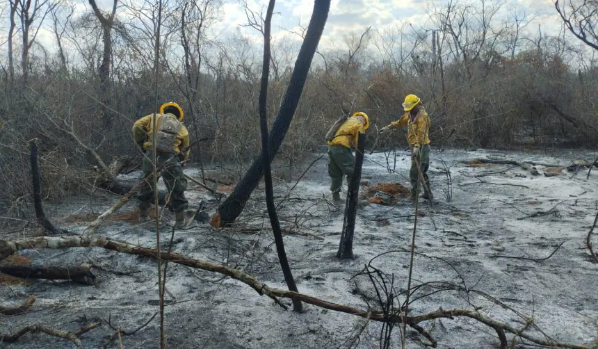Santa Cruz: Experto dice que ráfagas y las altas temperaturas generan “condiciones” para que los incendios se acentúen