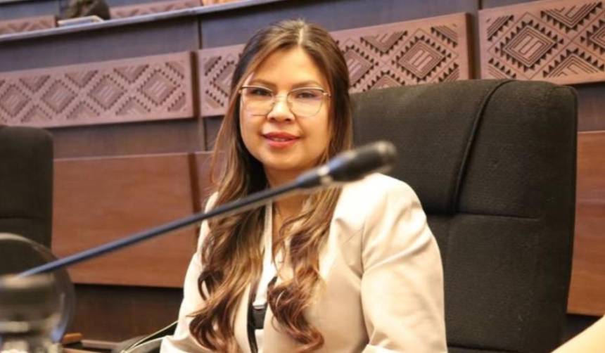 Diputado dice que Diana Romero registra seis faltas en sesiones y cuestiona manejo de licencias
