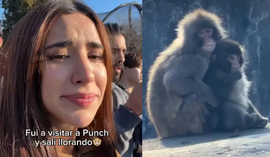 Influencer llega hasta las lágrimas tras ver el inesperado “empujón” que le dieron a Punch