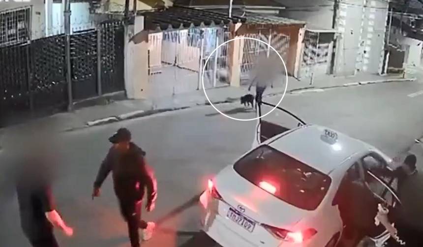 Video: Perro pitbull frustró atraco tras defender a su familia de delincuentes 