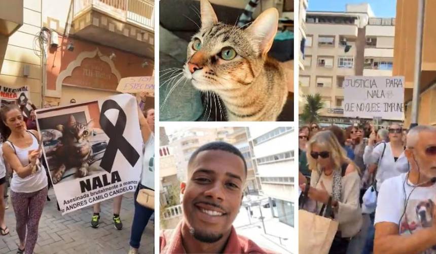 Mata a la mascota de su expareja con un palo de escoba y España lo deporta