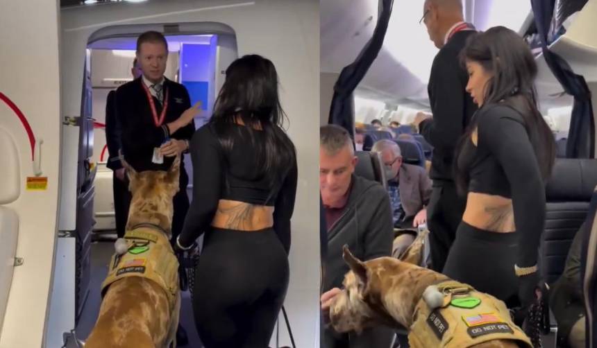 Video: Compró tres pasajes para viajar con su perro en un vuelo comercial