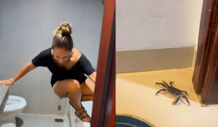 El inesperado acompañante que una pareja tuvo en un hotel