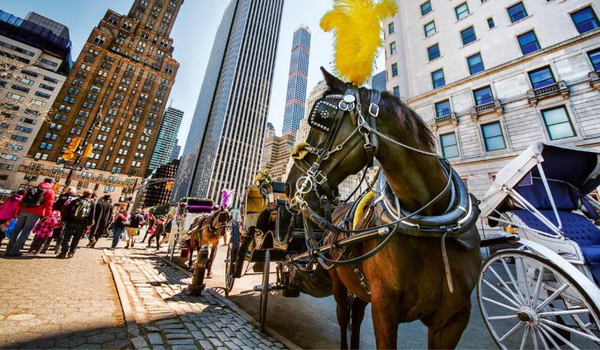 Nueva York decide el jueves si veta los carruajes de caballos tras accidente mortal