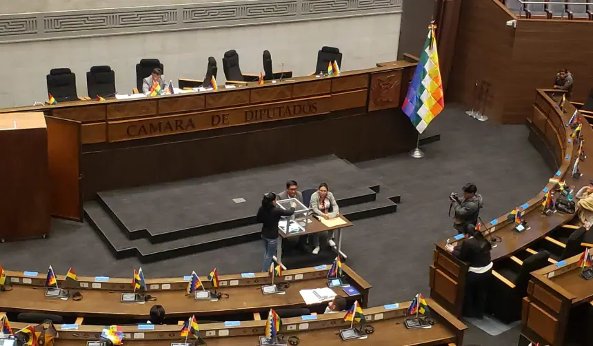 Comisión de diputados aprueba en grande y detalle un contrato de litio y ahora debe ser tratado por el pleno