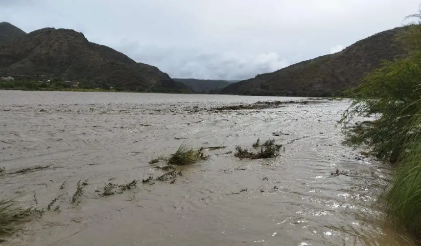 40 cabezas de ganado mueren arrastradas por una riada en Potosí