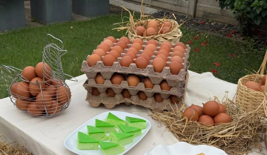 Día Mundial del Huevo: celebra 30 años como protagonista de la alimentación 