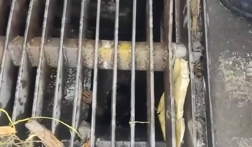 Imágenes impactantes: Mujer cae a una alcantarilla por salvar su mochila 