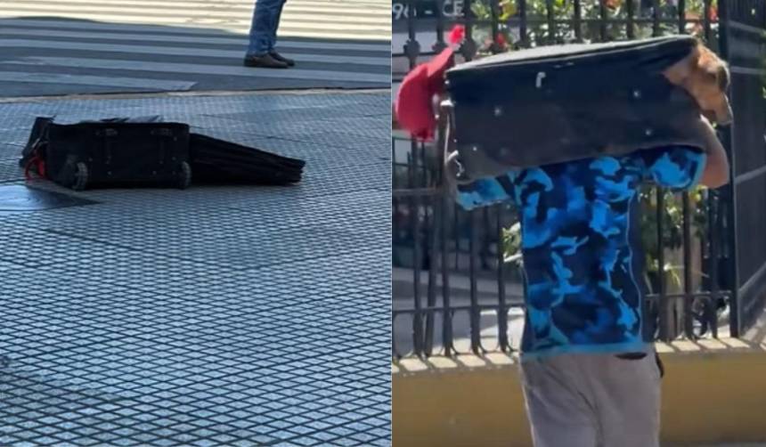 La conmovedora historia de Ramón, un perro rescatado de dentro de una maleta, que emociona en las redes sociales