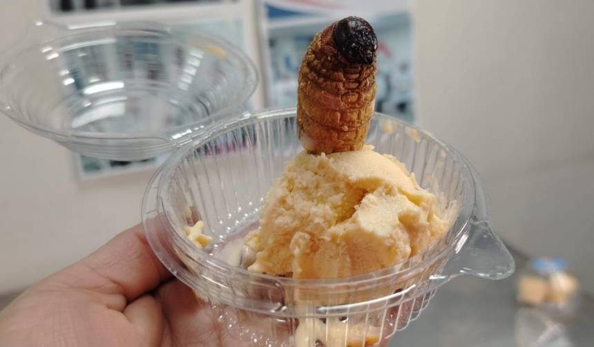 Estudiantes crean helado nutritivo elaborado con larvas de escarabajo 