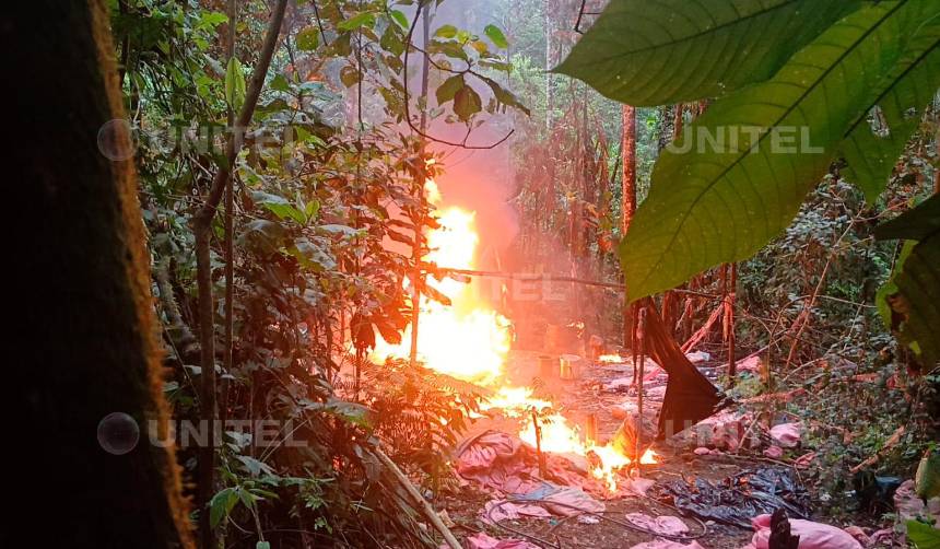 Incineran 46 fábricas de droga y aprehenden a 11 personas en operativos en el trópico