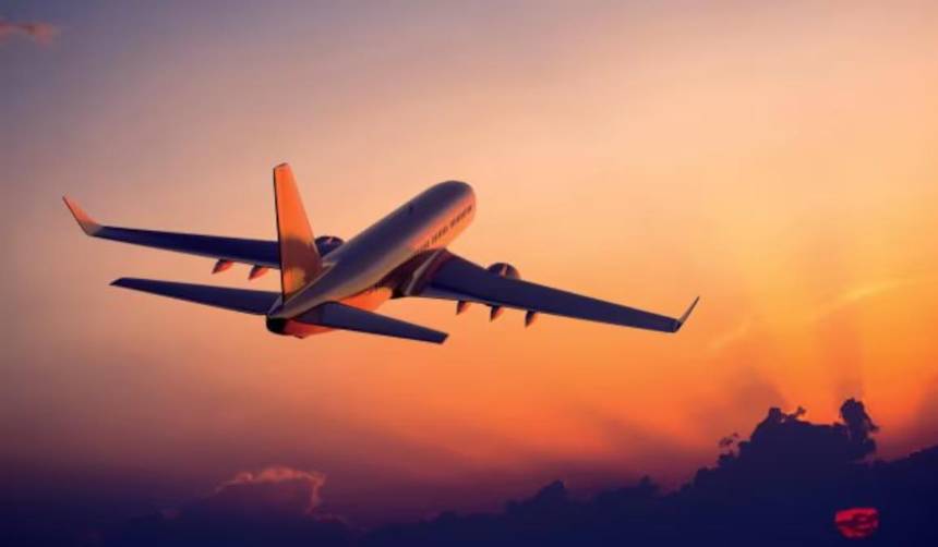 Video: ¡Párenlo, párenlo! pánico por un hombre estuvo a punto de abrir la puerta de un avión en pleno vuelo