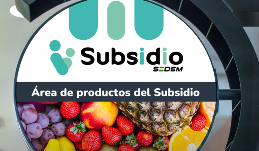 Subsidio 2026: Se eliminan algunos productos y se incorporan otros, conoce la nueva lista 